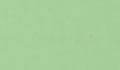 ral 6019